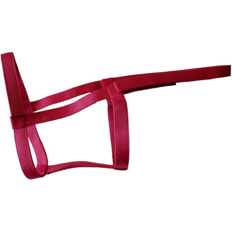 Rhinegold Fieldsafe Headcollar Rasp