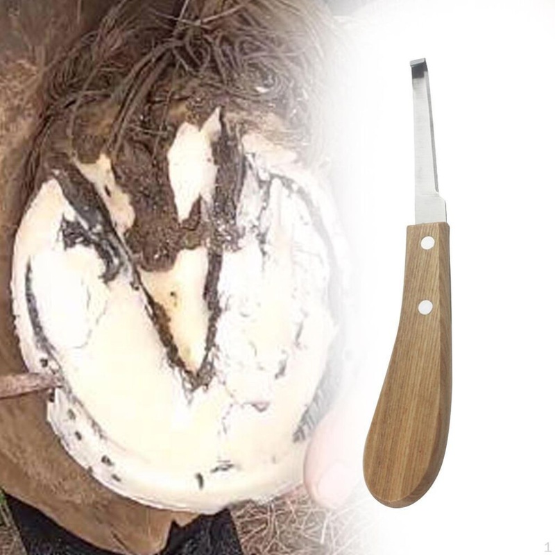 Compare (as the picture, left hand) horse hoof knife comfortable grip farrier for farriers livestock cows right hand products from over 25,000 stores