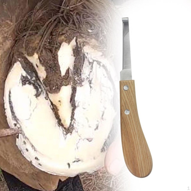 Compare (as the picture, right hand) horse hoof knife comfortable grip farrier for farriers livestock cows right hand products from over 25,000 stores